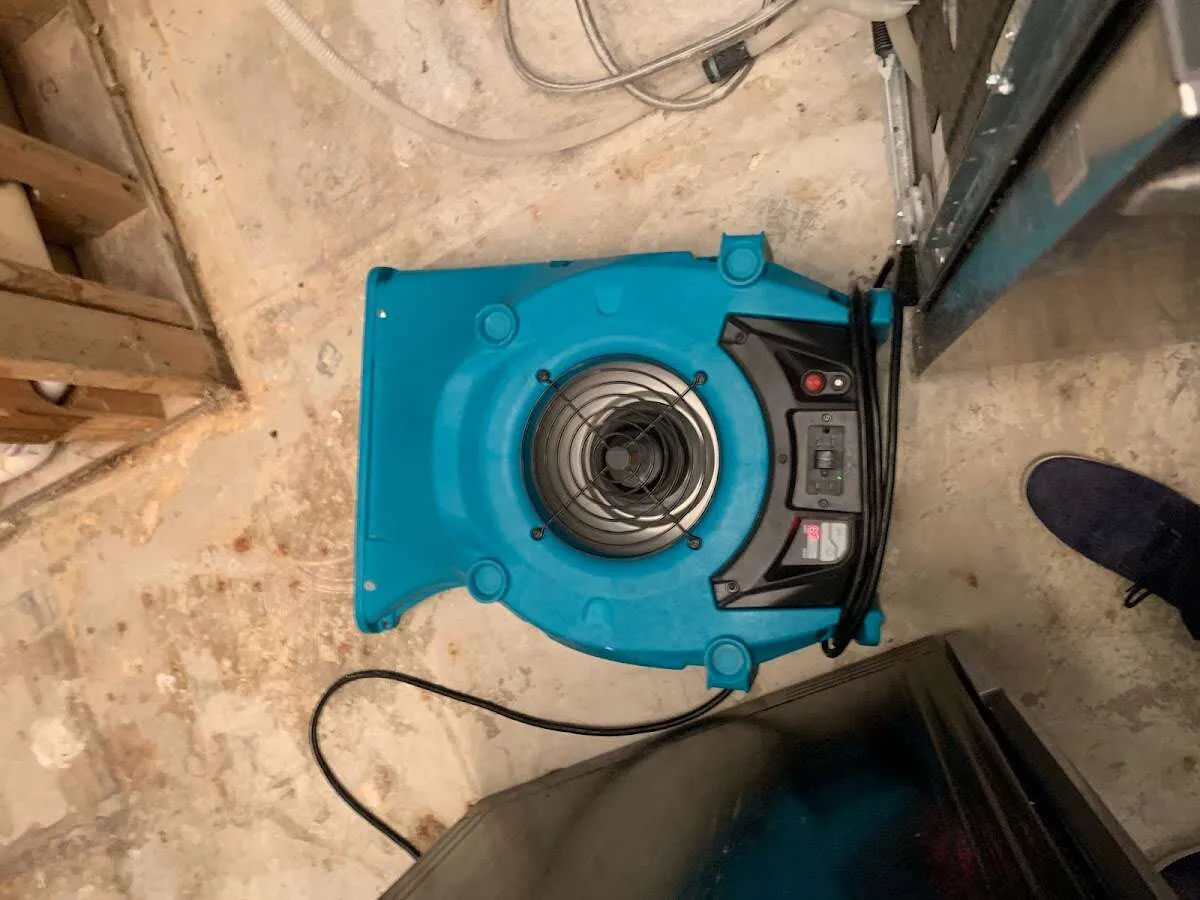 Air mover drying equipment for Mold Remediation & Removal in Provo